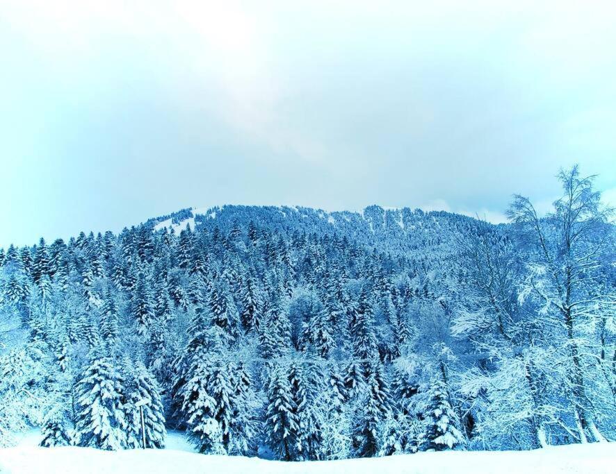 Logement 6 pers au cœur des montagnes pyrénéennes Boutx Exterior foto