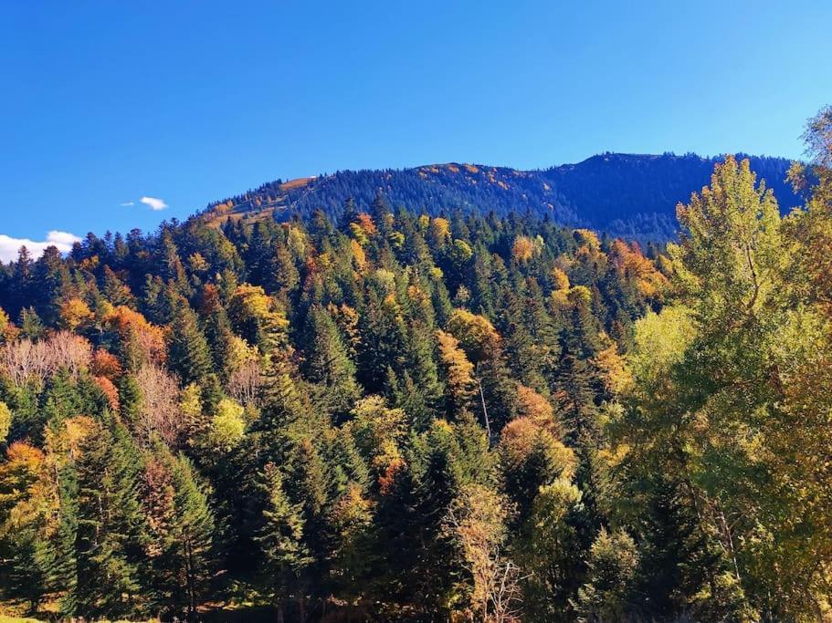 Logement 6 pers au cœur des montagnes pyrénéennes Boutx Exterior foto