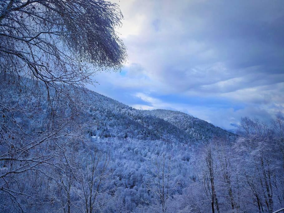 Logement 6 pers au cœur des montagnes pyrénéennes Boutx Exterior foto