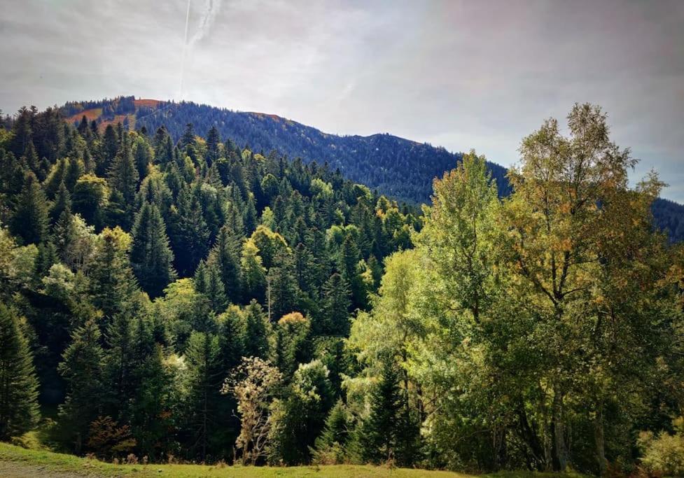 Logement 6 pers au cœur des montagnes pyrénéennes Boutx Exterior foto